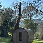 Domaine De Bayssac Bed and breakfast